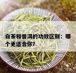 白茶和普洱的功效区别：哪个更适合你？