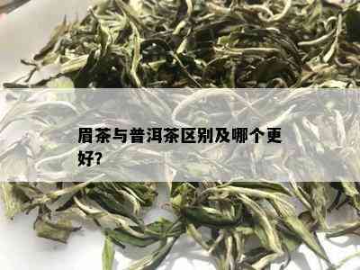 眉茶与普洱茶区别及哪个更好？