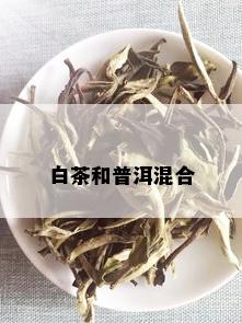 白茶和普洱混合