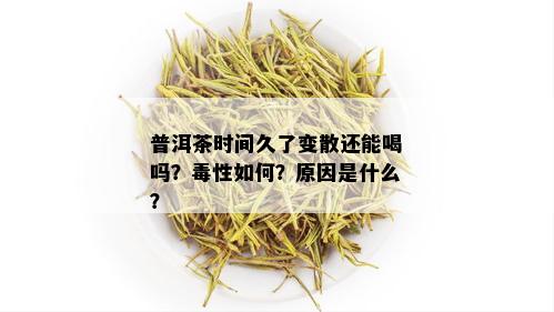 普洱茶时间久了变散还能喝吗？性如何？原因是什么？