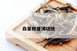 白茶和普洱功效