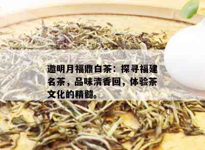 邀明月福鼎白茶：探寻福建名茶，品味清香回，体验茶文化的精髓。