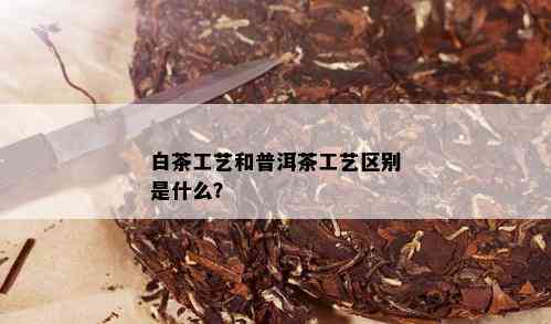 白茶工艺和普洱茶工艺区别是什么？