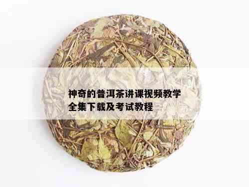 神奇的普洱茶讲课视频教学全集下载及考试教程