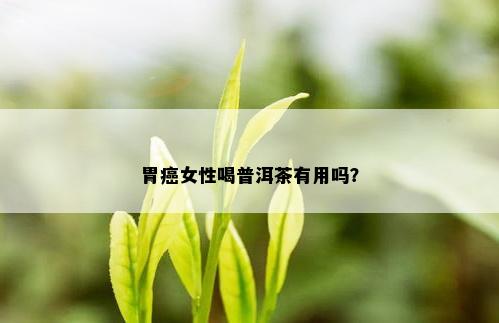 胃癌女性喝普洱茶有用吗？