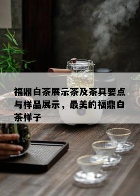 福鼎白茶展示茶及茶具要点与样品展示，最美的福鼎白茶样子