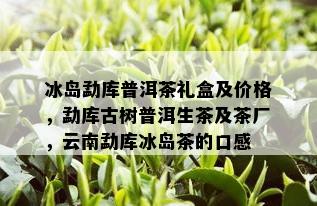 冰岛勐库普洱茶礼盒及价格，勐库古树普洱生茶及茶厂，云南勐库冰岛茶的口感