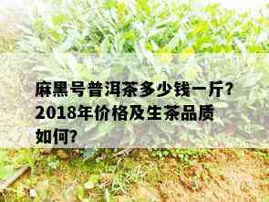 麻黑号普洱茶多少钱一斤？2018年价格及生茶品质如何？