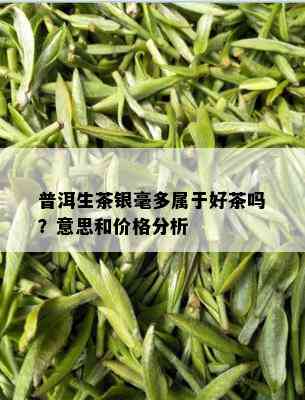 普洱生茶银毫多属于好茶吗？意思和价格分析