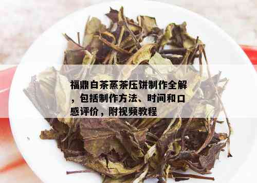 福鼎白茶蒸茶压饼制作全解，包括制作方法、时间和口感评价，附视频教程