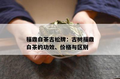 福鼎白茶古松牌：古树福鼎白茶的功效、价格与区别