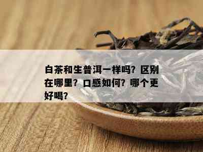 白茶和生普洱一样吗？区别在哪里？口感如何？哪个更好喝？