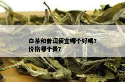 白茶和普洱便宜哪个好喝？价格哪个贵？