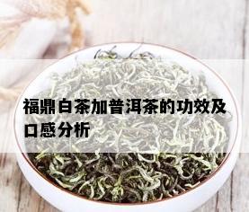 福鼎白茶加普洱茶的功效及口感分析