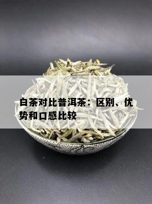 白茶对比普洱茶：区别、优势和口感比较