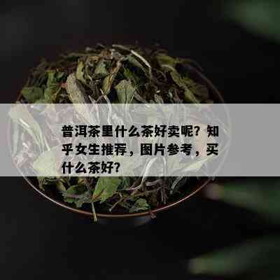 普洱茶里什么茶好卖呢？知乎女生推荐，图片参考，买什么茶好？