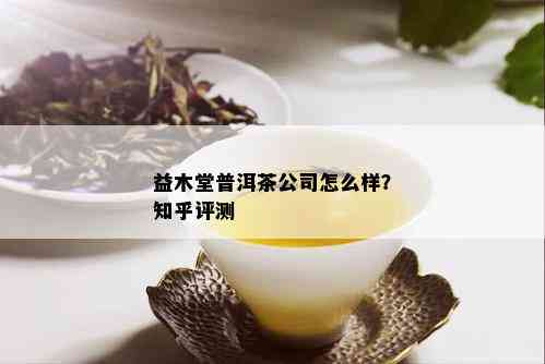 益木堂普洱茶公司怎么样？知乎评测