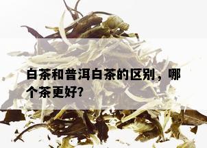 白茶和普洱白茶的区别，哪个茶更好？