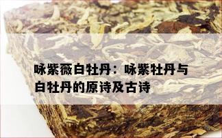 咏紫薇白牡丹：咏紫牡丹与白牡丹的原诗及古诗