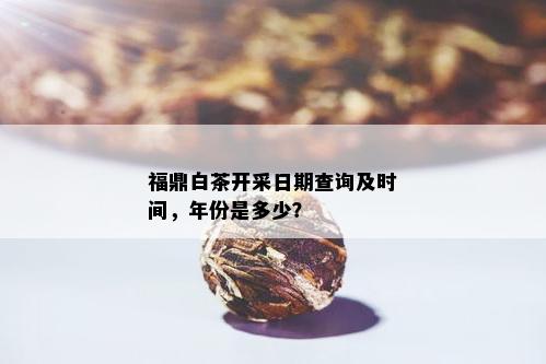 福鼎白茶开采日期查询及时间，年份是多少？