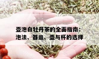 壶泡白牡丹茶的全面指南：泡法、器皿、壶与杯的选择