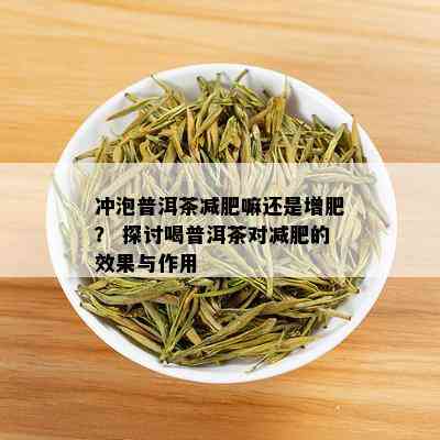 冲泡普洱茶减肥嘛还是增肥？ 探讨喝普洱茶对减肥的效果与作用