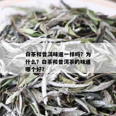 白茶和普洱味道一样吗？为什么？白茶和普洱茶的味道哪个好？