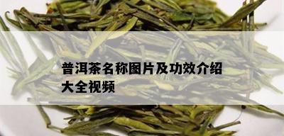 普洱茶名称图片及功效介绍大全视频