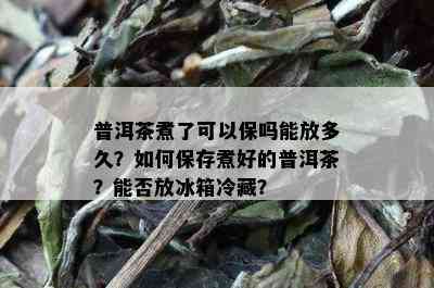 普洱茶煮了可以保吗能放多久？如何保存煮好的普洱茶？能否放冰箱冷藏？