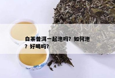 白茶普洱一起泡吗？如何泡？好喝吗？