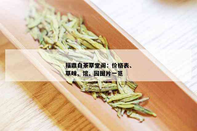 福鼎白茶草堂阁：价格表、草味、馆、园图片一览