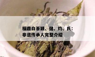 福鼎白茶颖、健、灼、氏：非遗传承人完整介绍