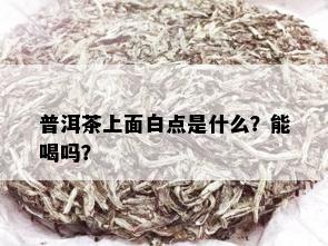 普洱茶上面白点是什么？能喝吗？