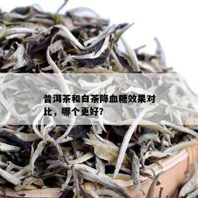 普洱茶和白茶降血糖效果对比，哪个更好？