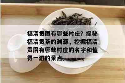 福清贡眉有哪些村庄？探秘福清贡茶的渊源，挖掘福清贡眉有哪些村庄的名字和值得一游的景点。