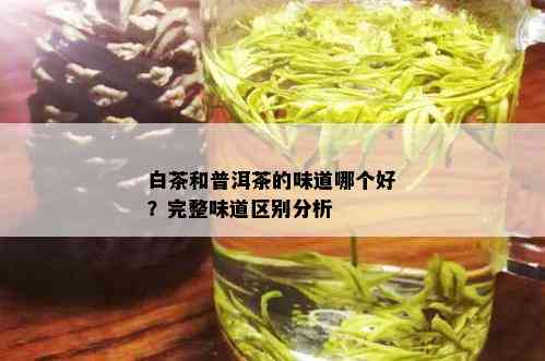 白茶和普洱茶的味道哪个好？完整味道区别分析