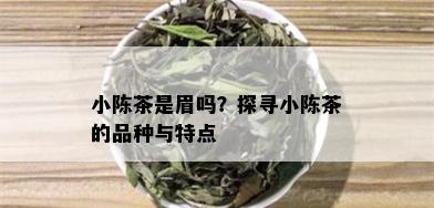 小陈茶是眉吗？探寻小陈茶的品种与特点