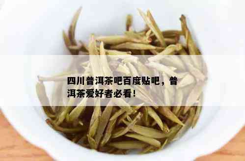 四川普洱茶吧百度贴吧，普洱茶爱好者必看！