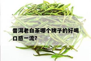 普洱老白茶哪个牌子的好喝口感一流？