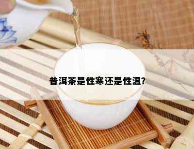 普洱茶是性寒还是性温？