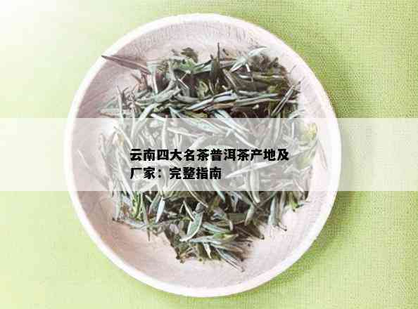 云南四大名茶普洱茶产地及厂家：完整指南