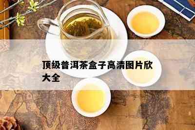 顶级普洱茶盒子高清图片欣大全