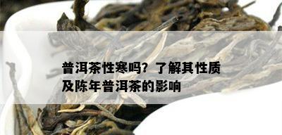 普洱茶性寒吗？了解其性质及陈年普洱茶的影响