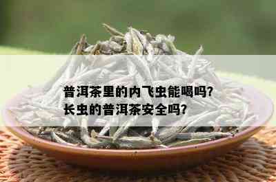 普洱茶里的内飞虫能喝吗？长虫的普洱茶安全吗？