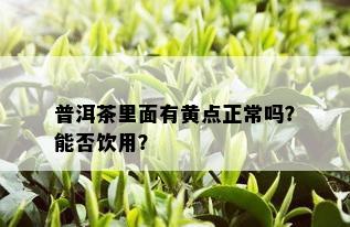 普洱茶里面有黄点正常吗？能否饮用？