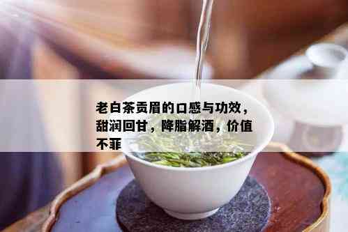 老白茶贡眉的口感与功效，甜润回甘，降脂解，价值不菲