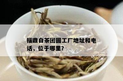 福鼎白茶团圆工厂地址和电话，位于哪里？