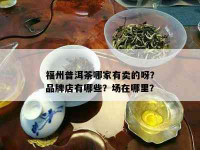 福州普洱茶哪家有卖的呀？品牌店有哪些？场在哪里？