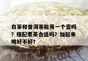 白茶和普洱茶能用一个壶吗？搭配煮茶合适吗？加起来喝好不好？