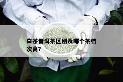 白茶普洱茶区别及哪个茶档次高？